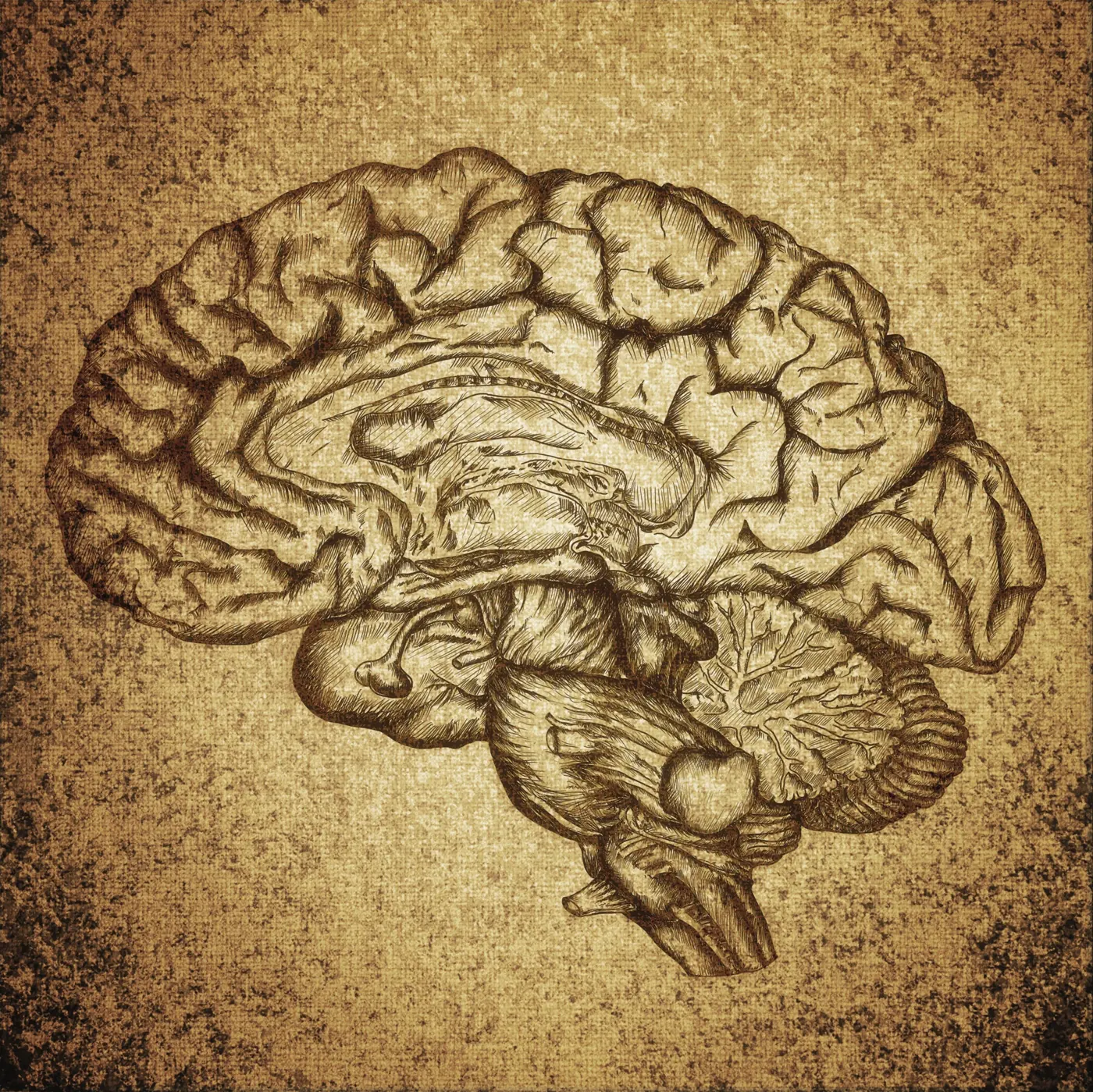 Illustration from the original article